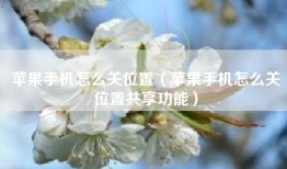 苹果手机怎么关位置（苹果手机怎么关位置共享功能）