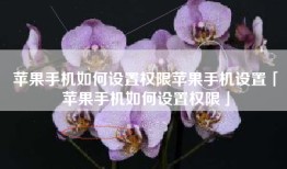 苹果手机如何设置权限苹果手机设置「苹果手机如何设置权限」