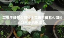 苹果手机怎么同步（苹果手机怎么同步安卓手机数据）