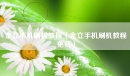 金立手机刷机教程（金立手机刷机教程免费）