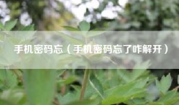 手机密码忘（手机密码忘了咋解开）