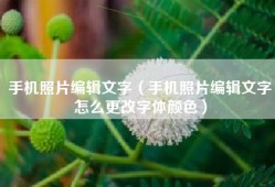 手机照片编辑文字（手机照片编辑文字怎么更改字体颜色）