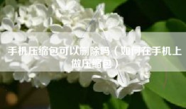 手机压缩包可以删除吗（如何在手机上做压缩包）