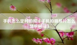 手机怎么定时拍照（手机拍摄照片怎么显示时间）