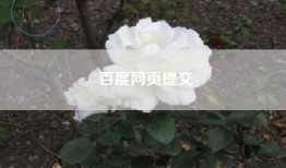 百度网页提交