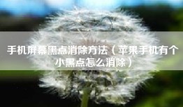 手机屏幕黑点消除方法（苹果手机有个小黑点怎么消除）