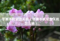 苹果手机紧急关机（苹果手机紧急关机怎么搞）