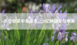 币安抱紧中东资本，20亿换安全与未来