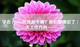 学会 Python究竟能干嘛？我们整理出了 7 大工作方向……