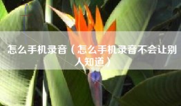 怎么手机录音（怎么手机录音不会让别人知道）