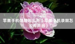 苹果手机录屏怎么弄（苹果手机录屏怎么弄声音）