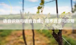 语音识别与语音合成：技术进步与应用