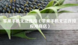 苹果手机无法连接（苹果手机无法连接应用商店）