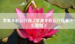 苹果手机运行慢（苹果手机运行慢是什么原因）