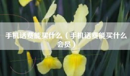 手机话费能买什么（手机话费能买什么会员）