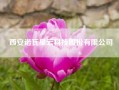 西安诺瓦星云科技股份有限公司