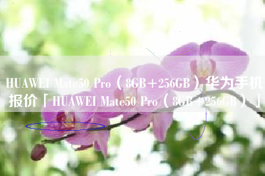 HUAWEI Mate50 Pro（8GB+256GB）华为手机报价「HUAWEI Mate50 Pro（8GB+256GB）」