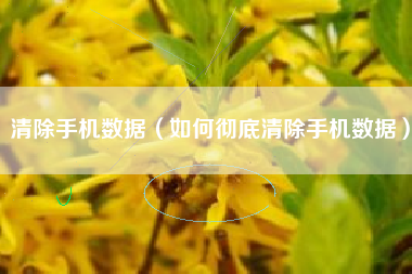 清除手机数据（如何彻底清除手机数据）