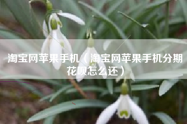 淘宝网苹果手机（淘宝网苹果手机分期花呗怎么还）