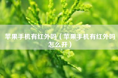 苹果手机有红外吗（苹果手机有红外吗怎么开）