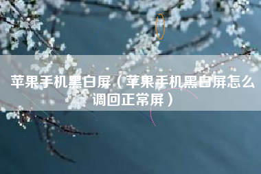 苹果手机黑白屏（苹果手机黑白屏怎么调回正常屏）